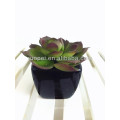 2016 Cheap mini artificial potted succulent plant for home decor